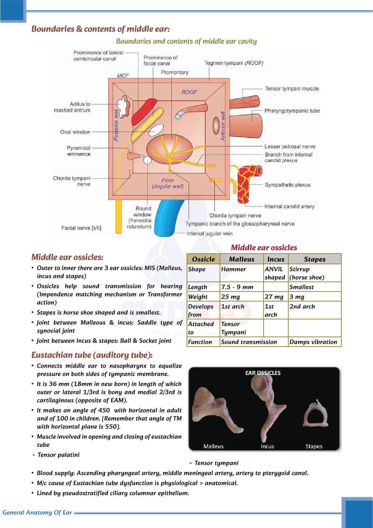 Learn Pro: Otorhinolaryngology