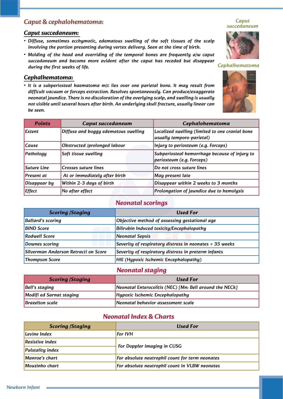 Learn Pro: Pediatrics