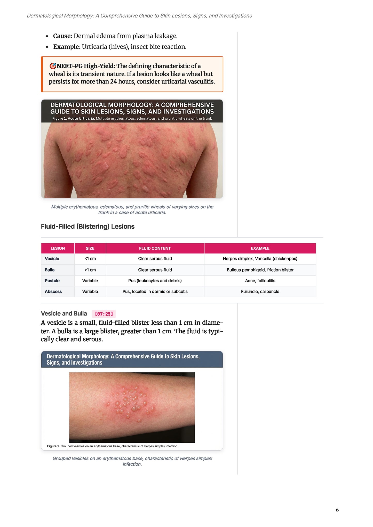 Learn Pro: Dermatology