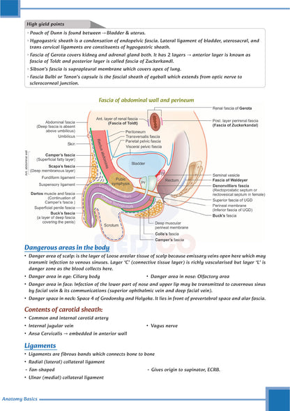 FMGE Modules: Anatomy