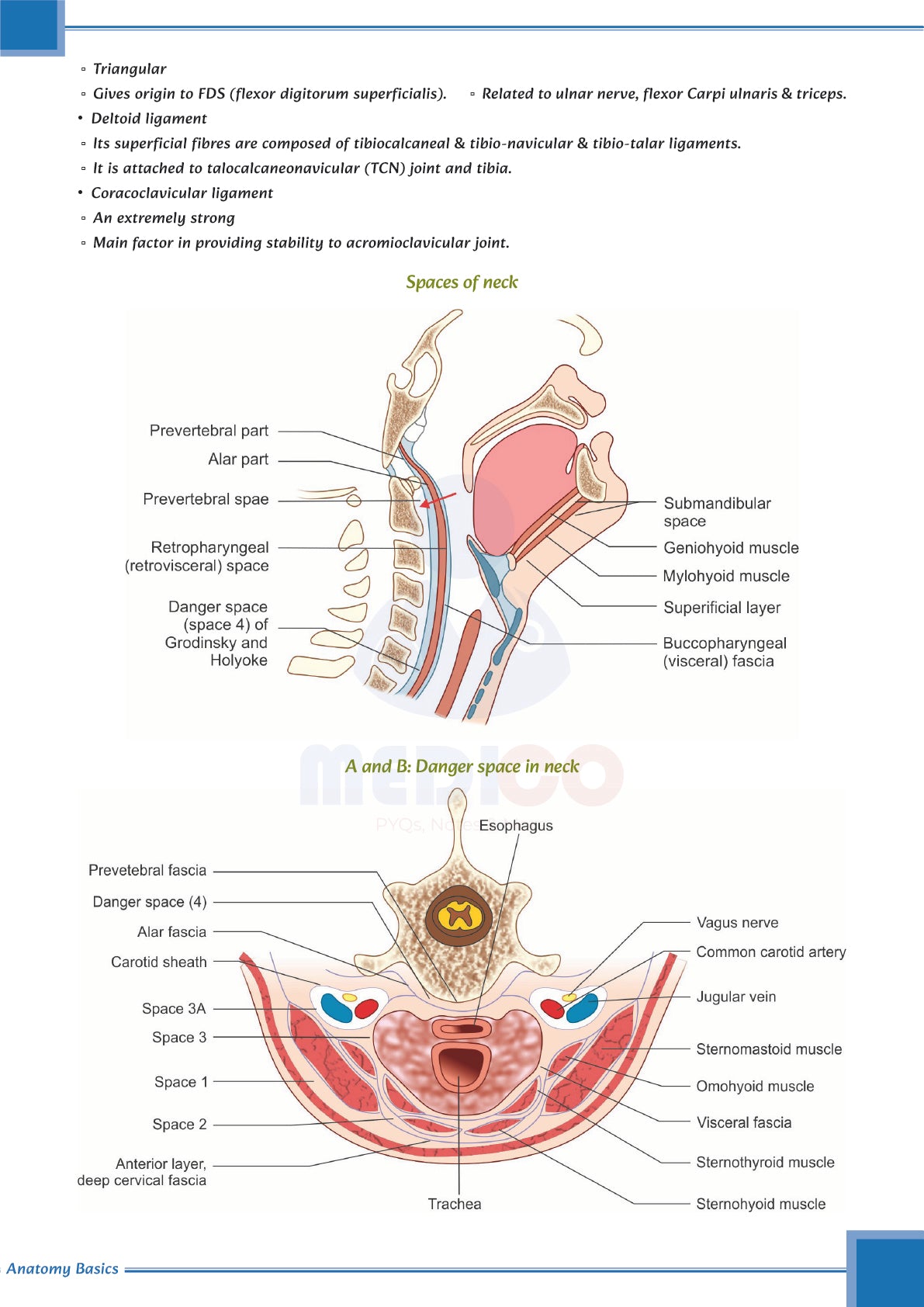 FMGE Modules: Anatomy