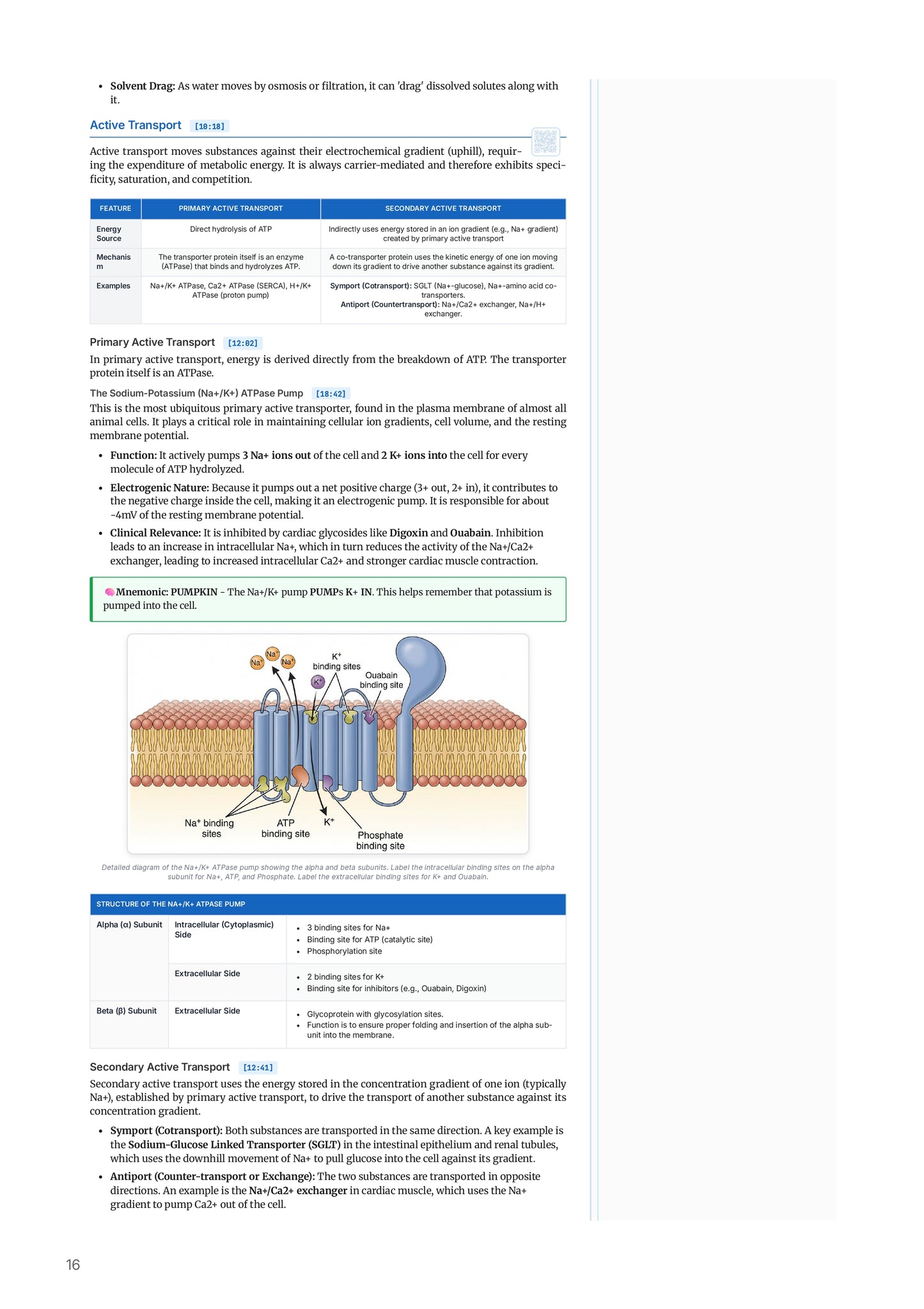 Learn Pro: Physiology