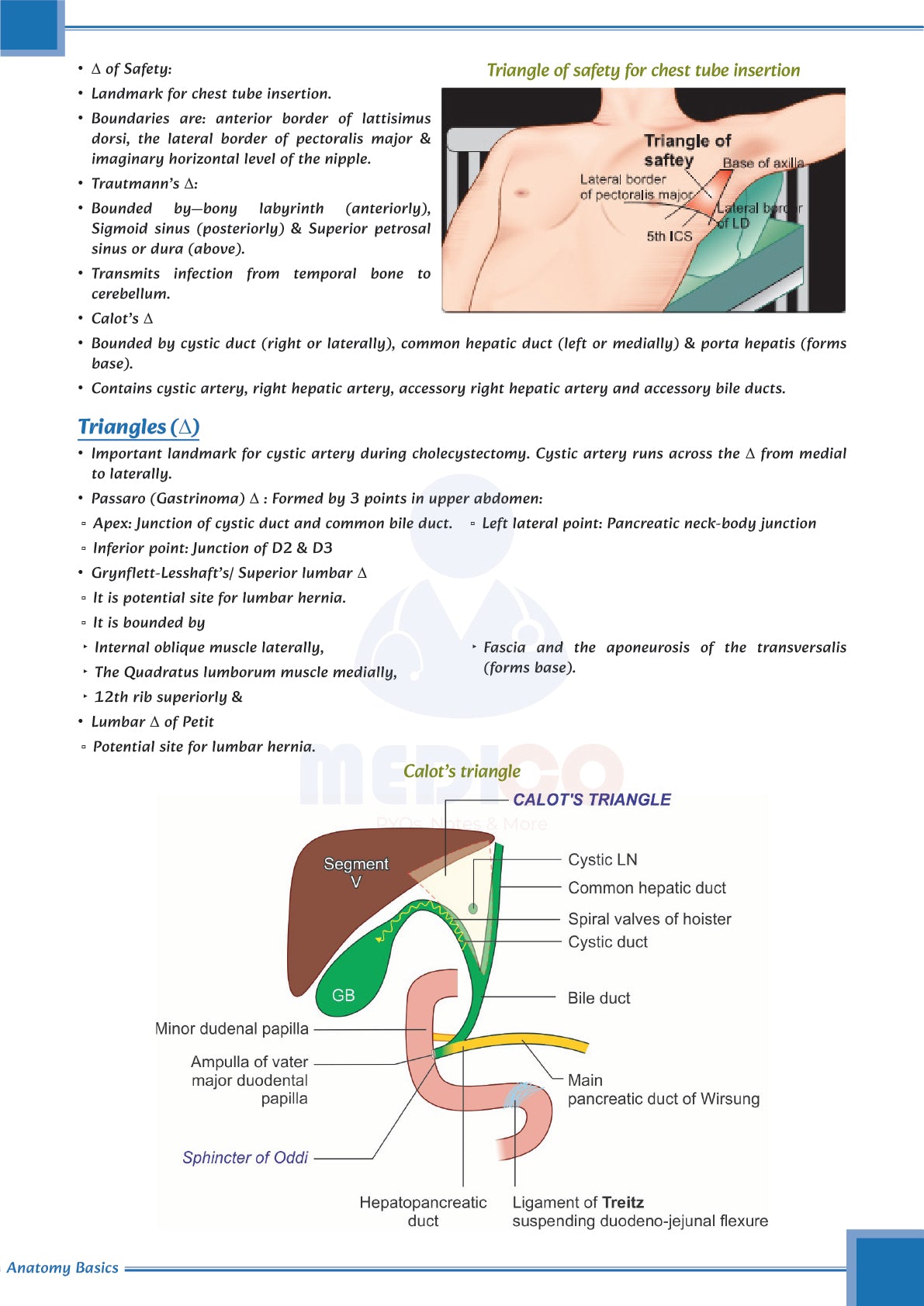 Learn Pro: Anatomy