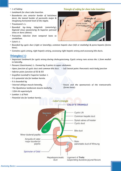 Learn Pro: Anatomy