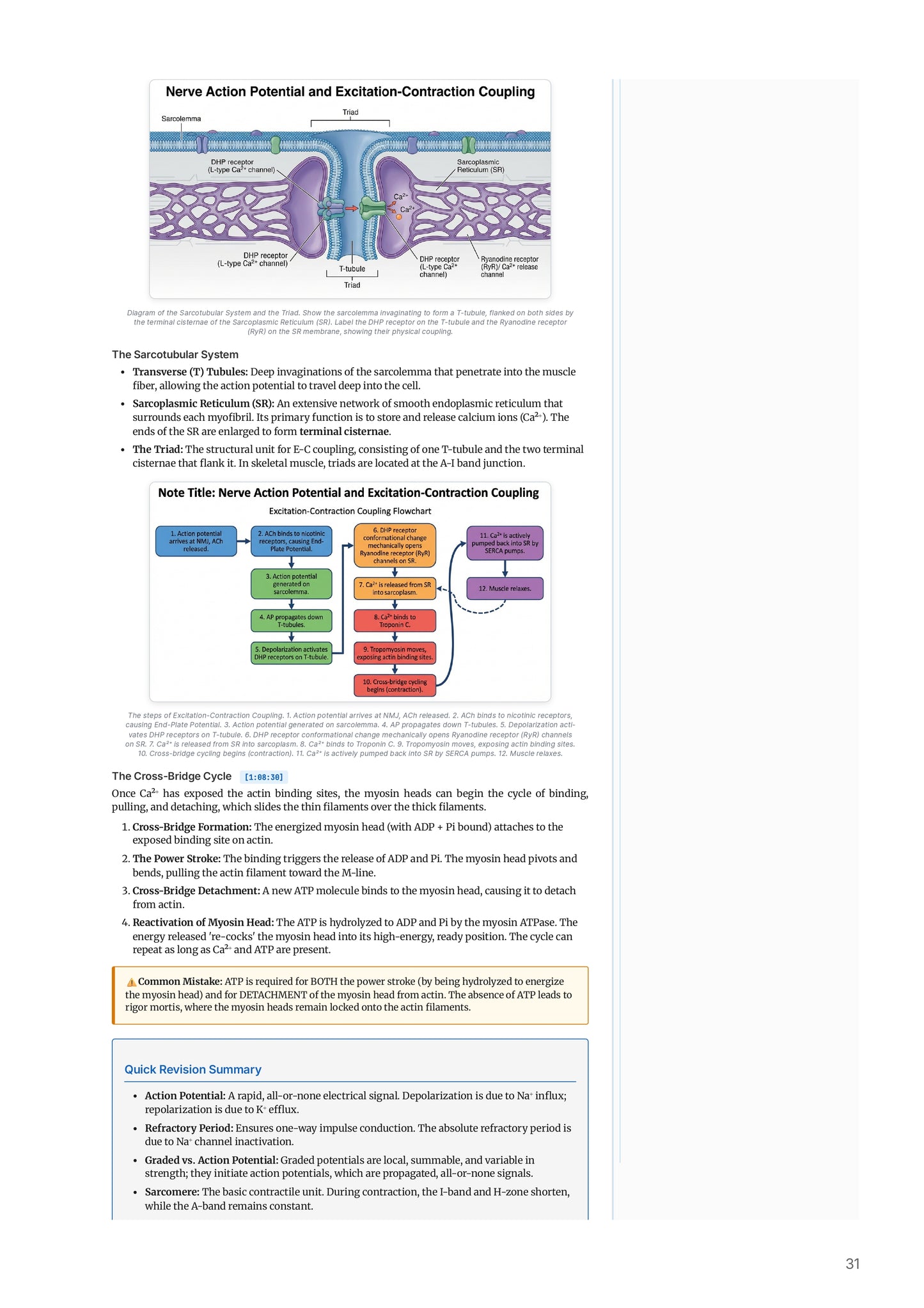 Learn Pro: Physiology