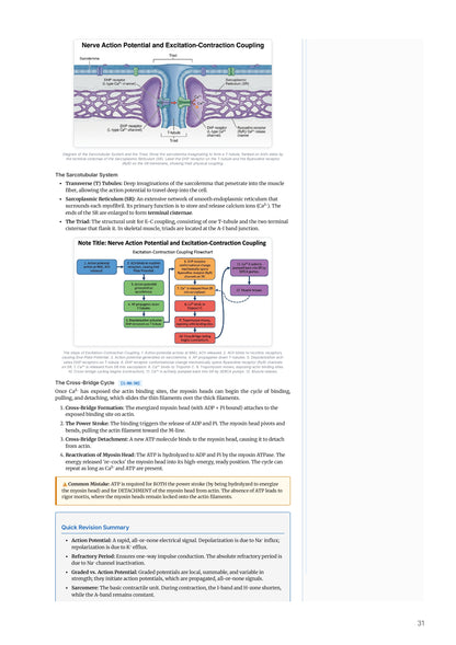 Learn Pro: Physiology
