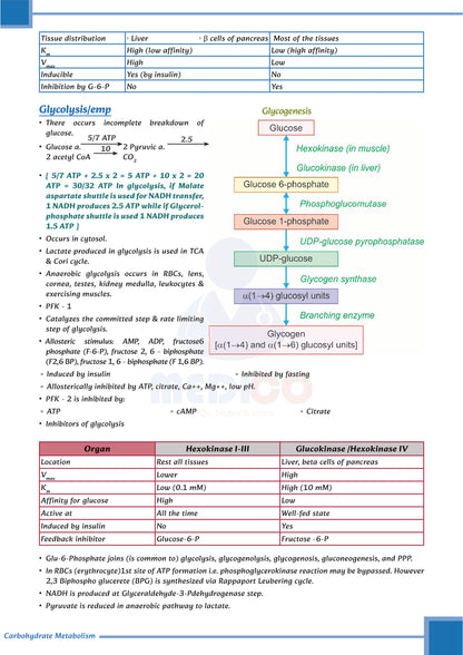 Learn Pro: Biochemistry