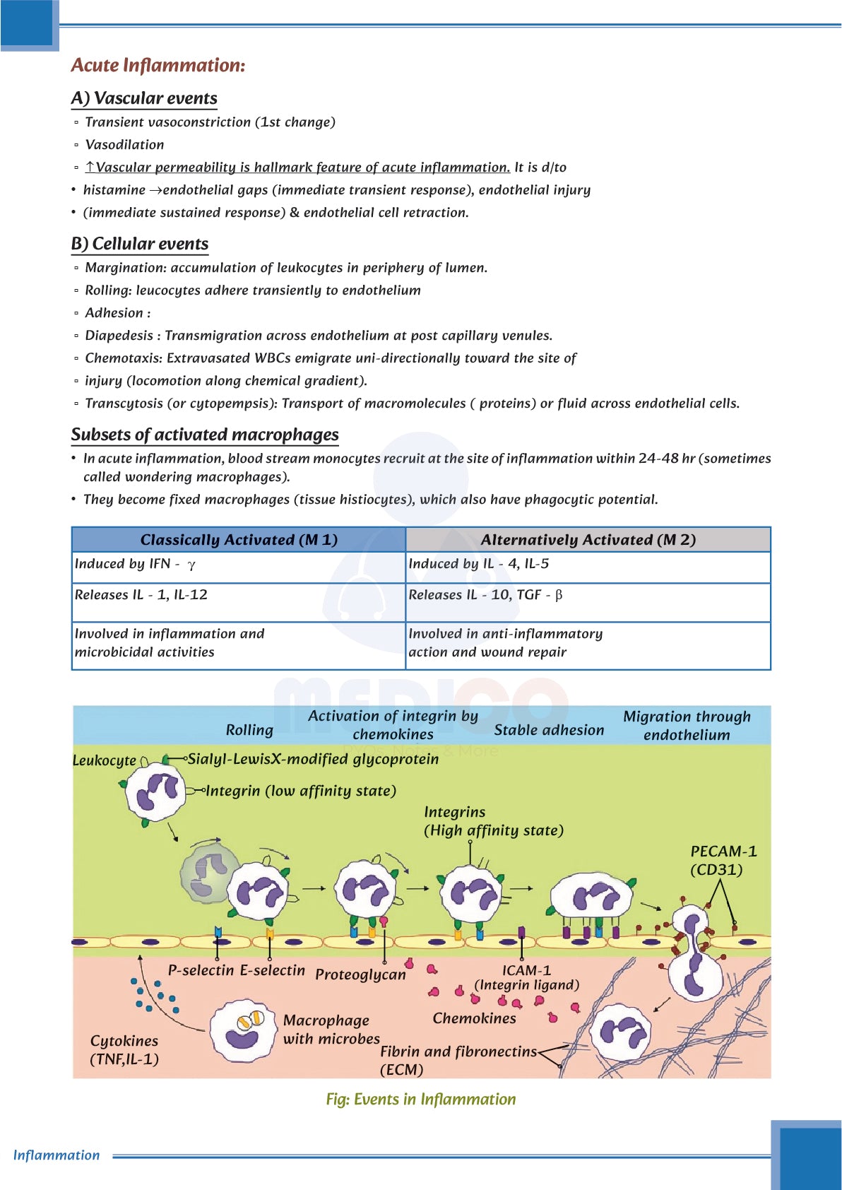 Learn Pro: Pathology