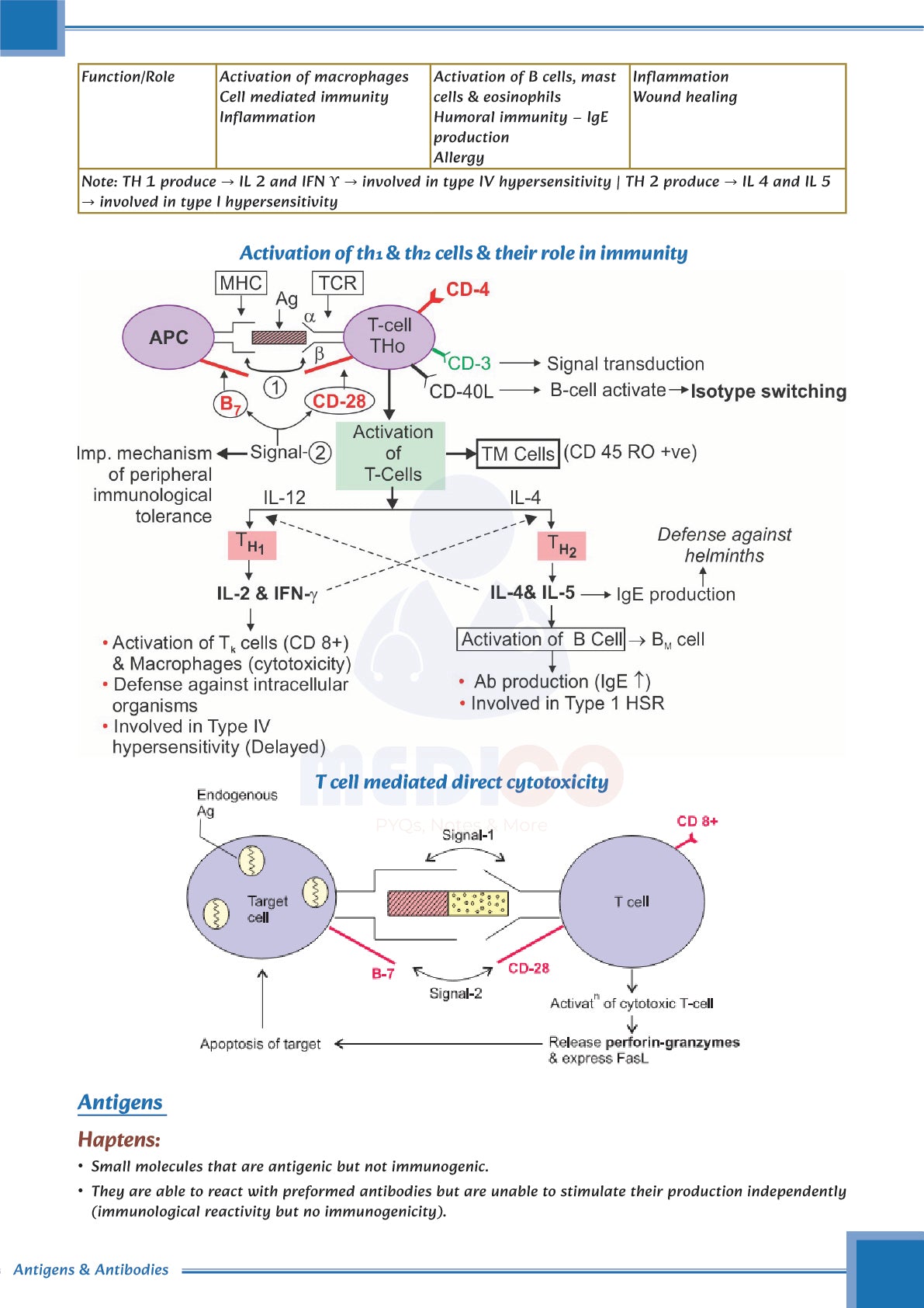 FMGE Modules: Microbiology