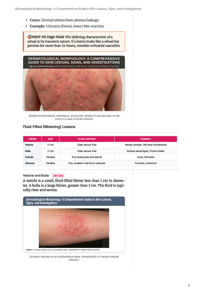 Learn Pro: Dermatology