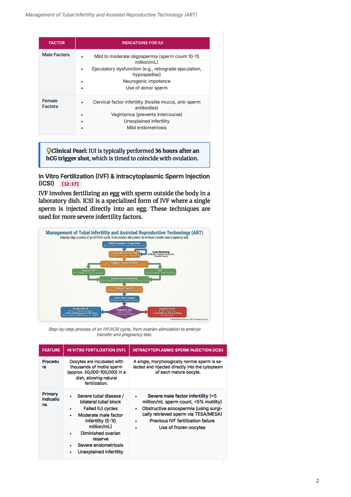 Learn Pro: Obstetrics & Gynecology