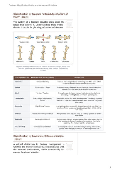 Learn Pro: Orthopedics