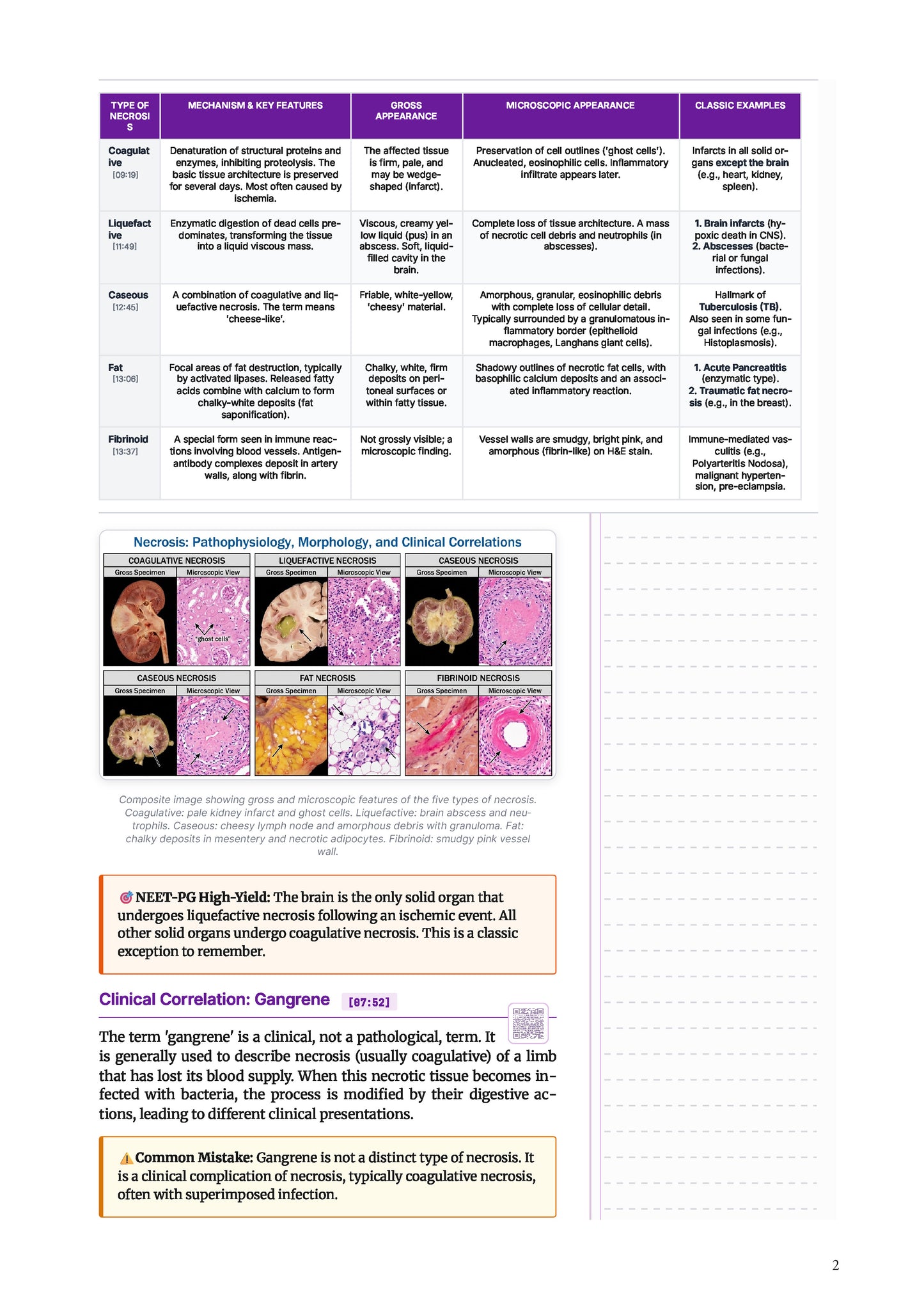 Learn Pro: Pathology
