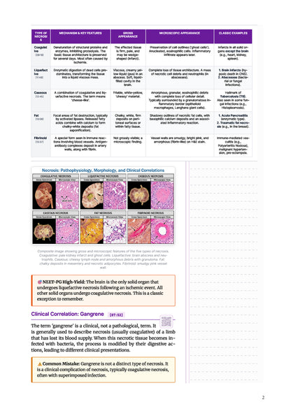 Learn Pro: Pathology