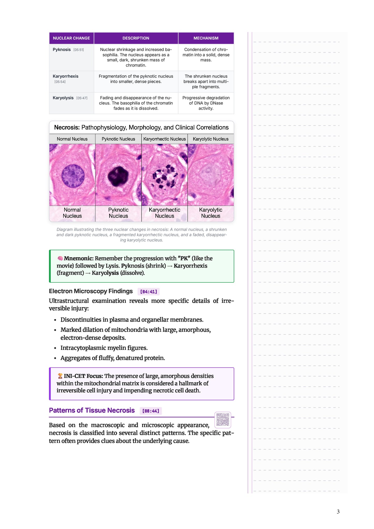 Learn Pro: Pathology