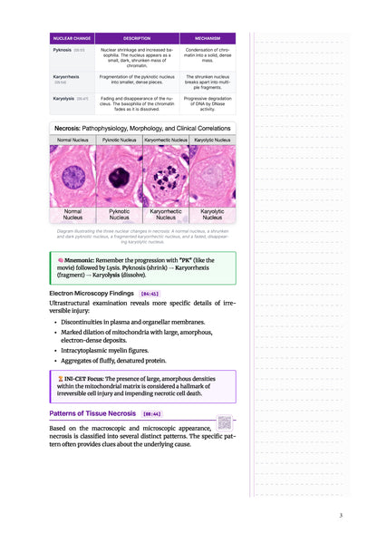 Learn Pro: Pathology