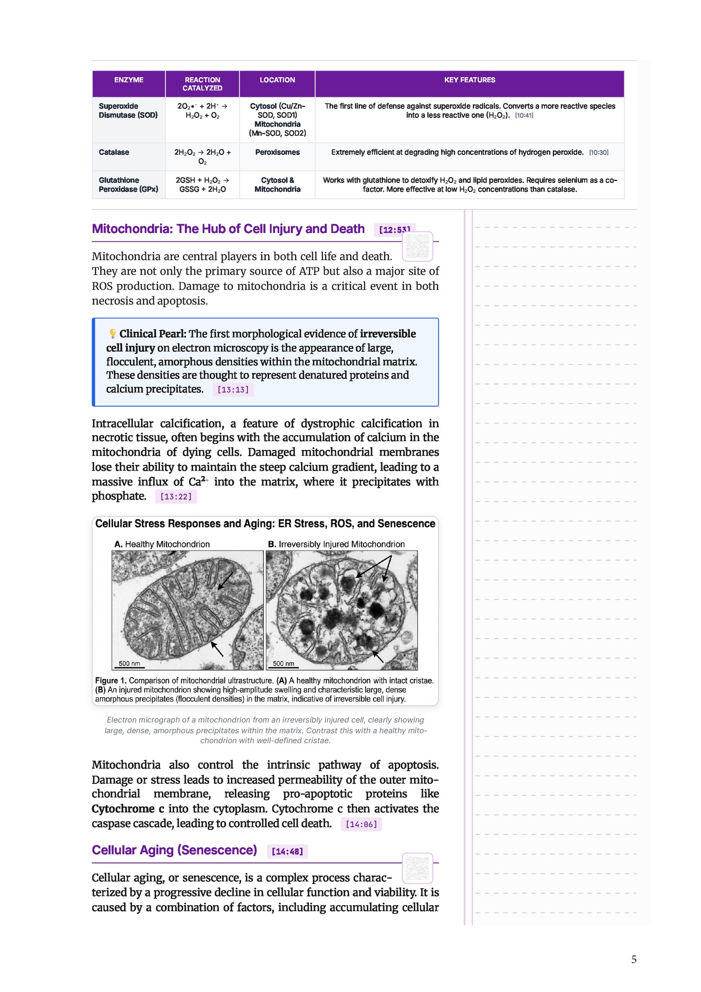 Learn Pro: Pathology