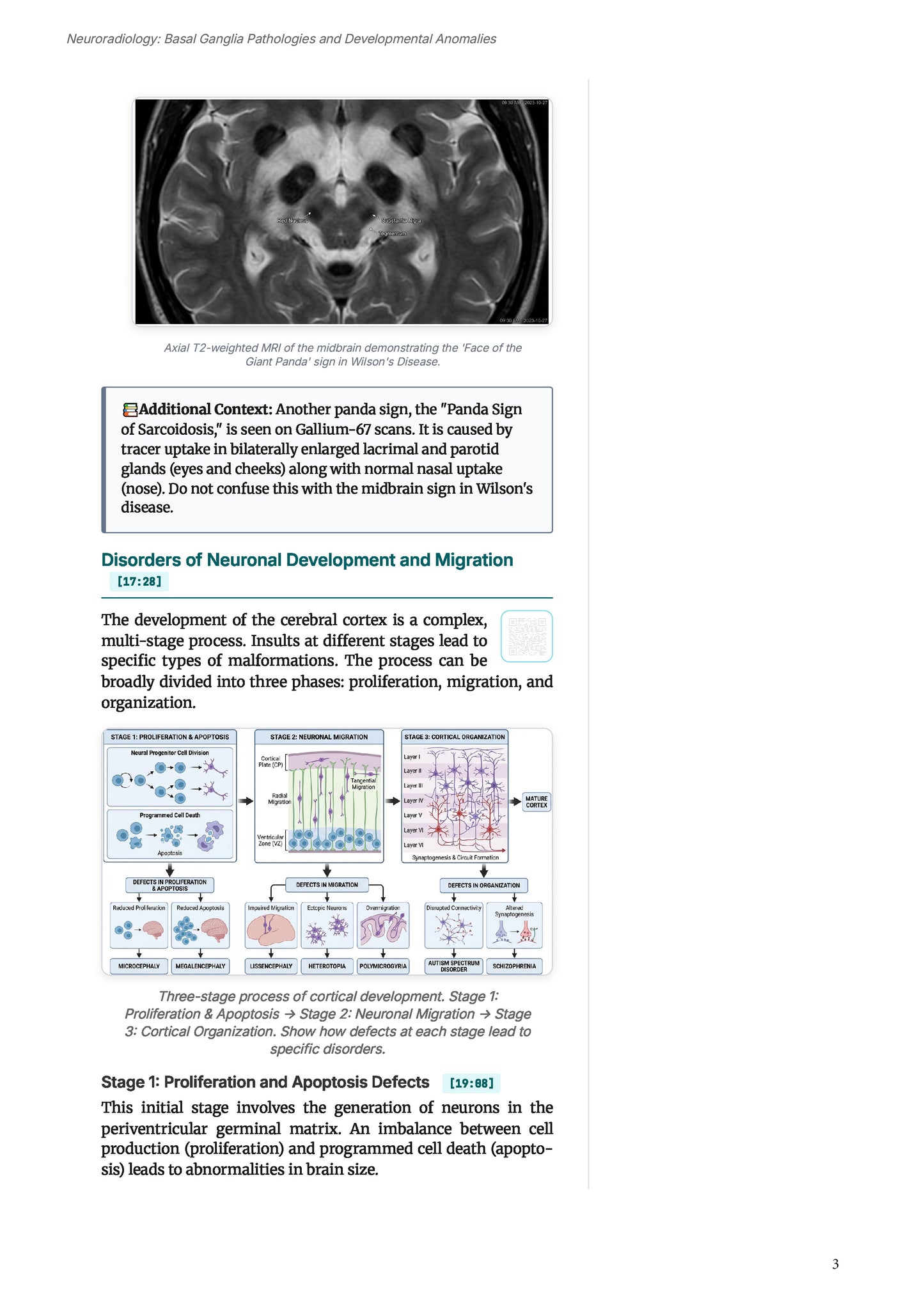 Learn Pro: Radiology