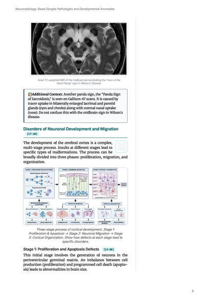 Learn Pro: Radiology