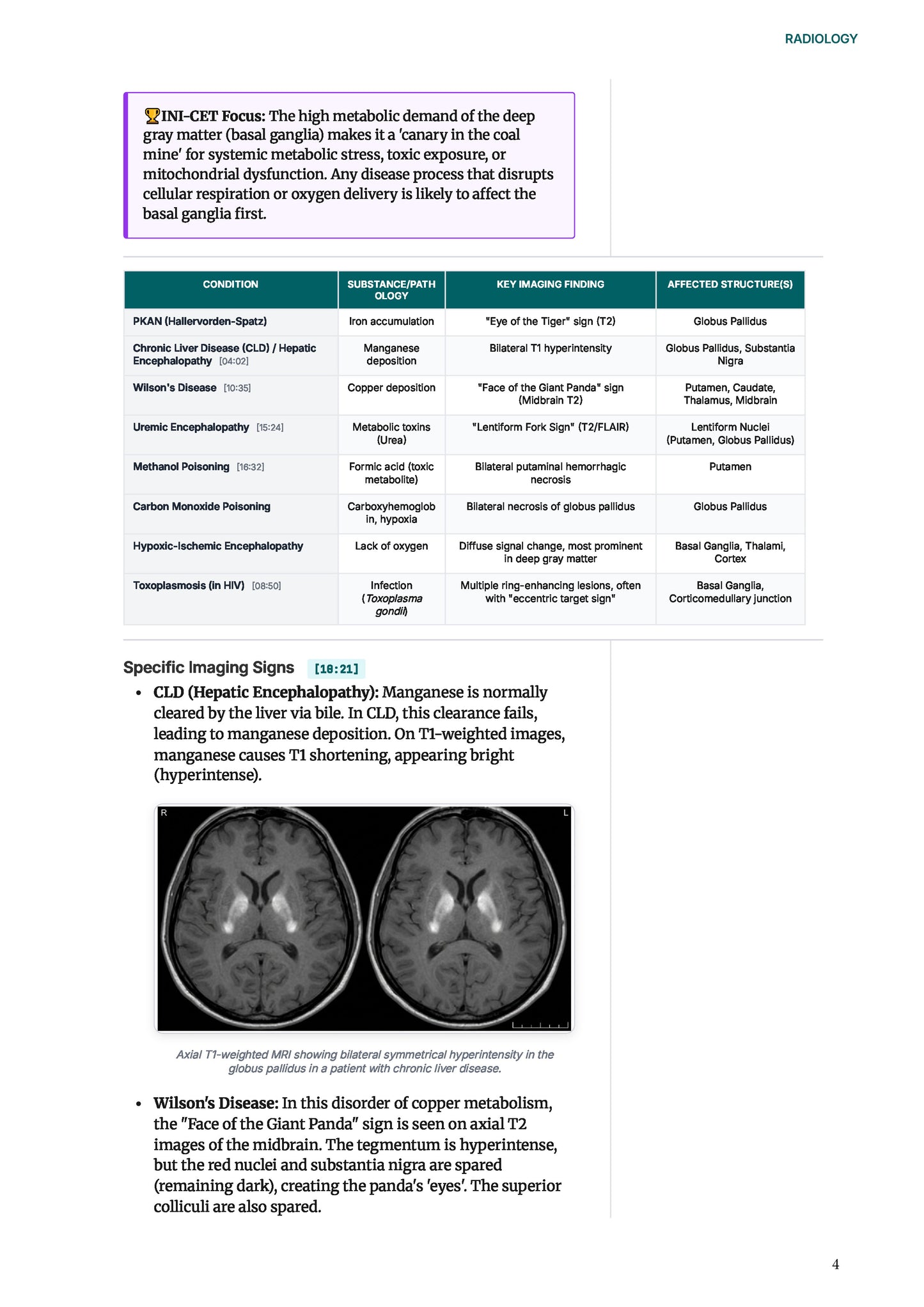 Learn Pro: Radiology