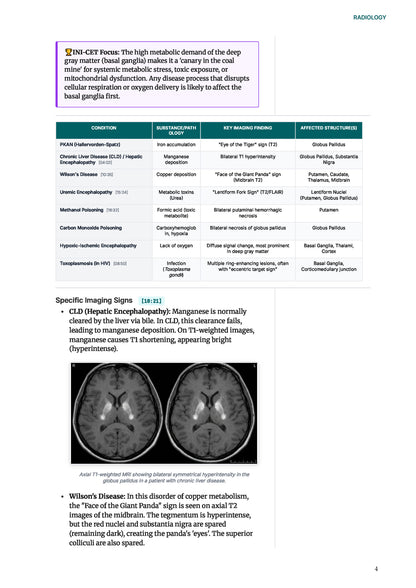Learn Pro: Radiology