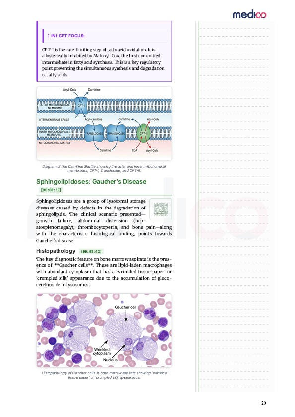 Core PYQ | PYT Notes Volume 1
