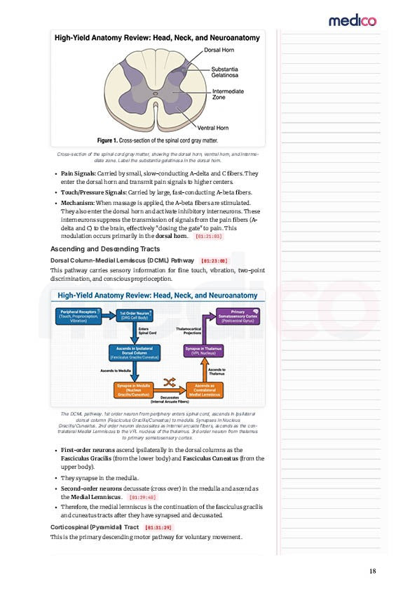 Core PYQ | PYT Notes Volume 1